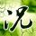原版波尔多大学文凭【degxx.com】